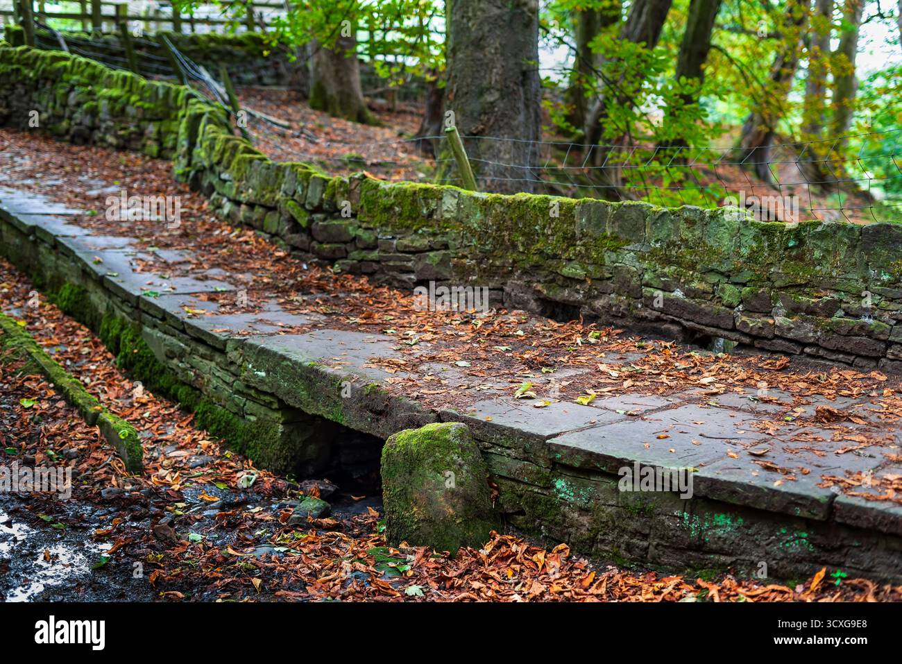 Culvert taking water from the stream under the old paved footpath on ...