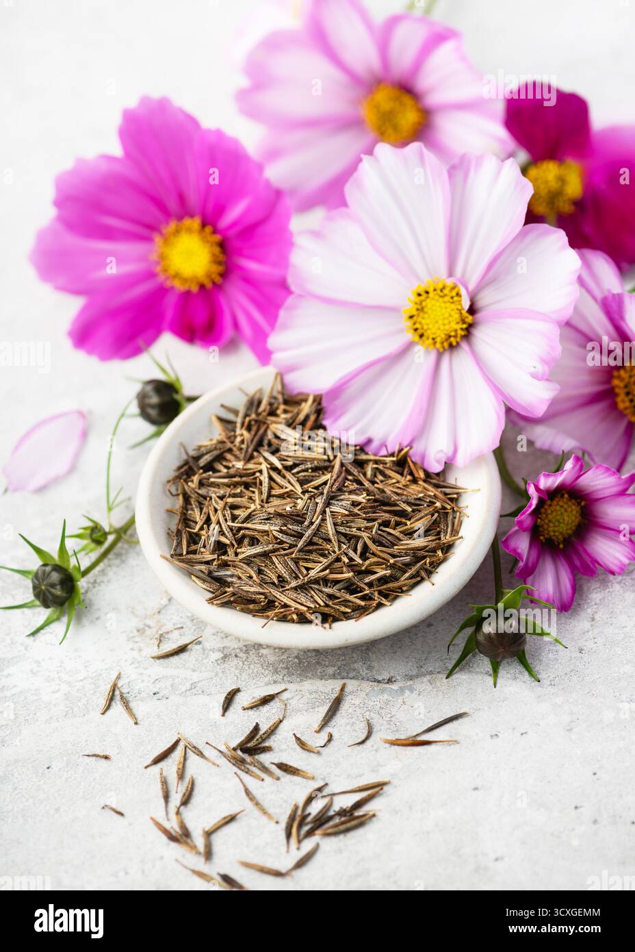your mind is a garden your thoughts are seeds Your mind is a garden Your thoughts are the seeds You can grow flowers Or  you can grow weeds, wall print