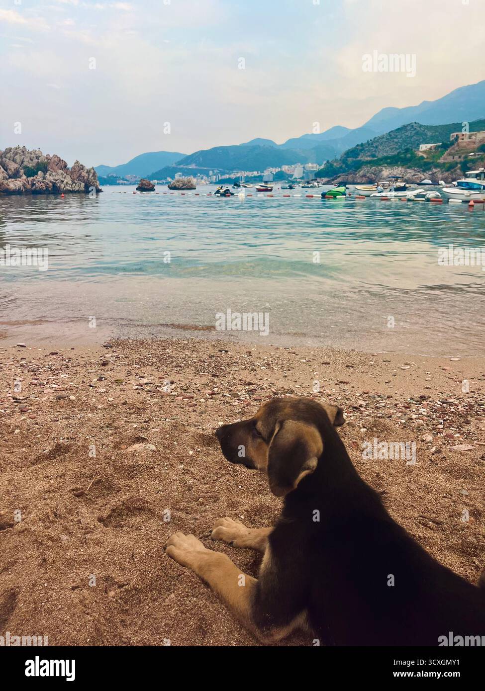 A dog relaxing on a sandy shore surrounded by rocky green mountains and calm blue sea with boats resting in the water. - Smartphone Captured Stock Image