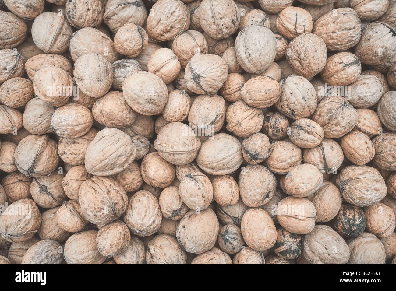 Close up photo walnuts, selective focus. Stock Photo