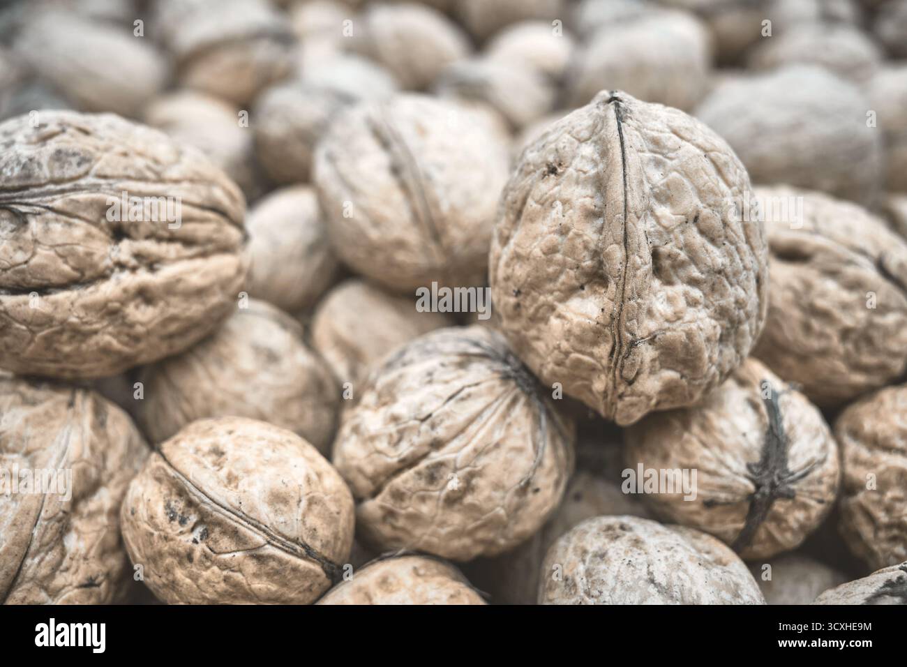 Close up photo walnuts, selective focus. Stock Photo