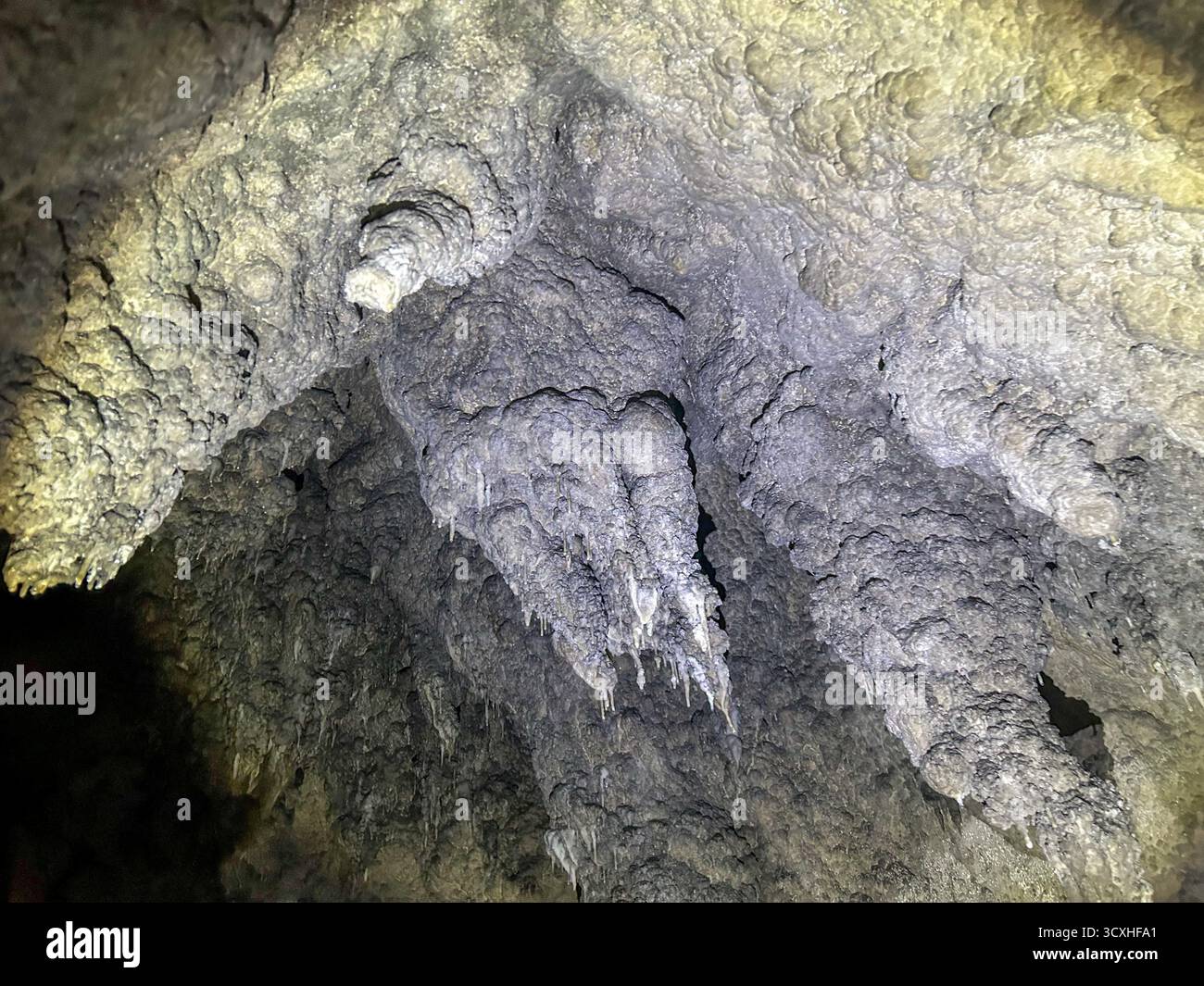 Detailed view of stalactites and textured limestone formations inside the Ice Cave in Uvac Canyon, Serbia, illuminated by artificial light. - Smartphone Captured Stock Image