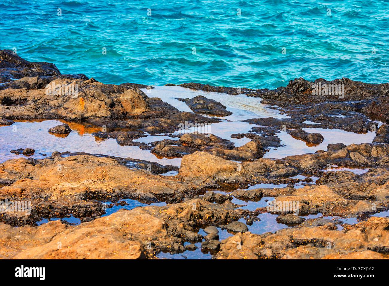 Colcanic Rocks Rugged volcanic rocks tide pools hi-res stock photography and images ...