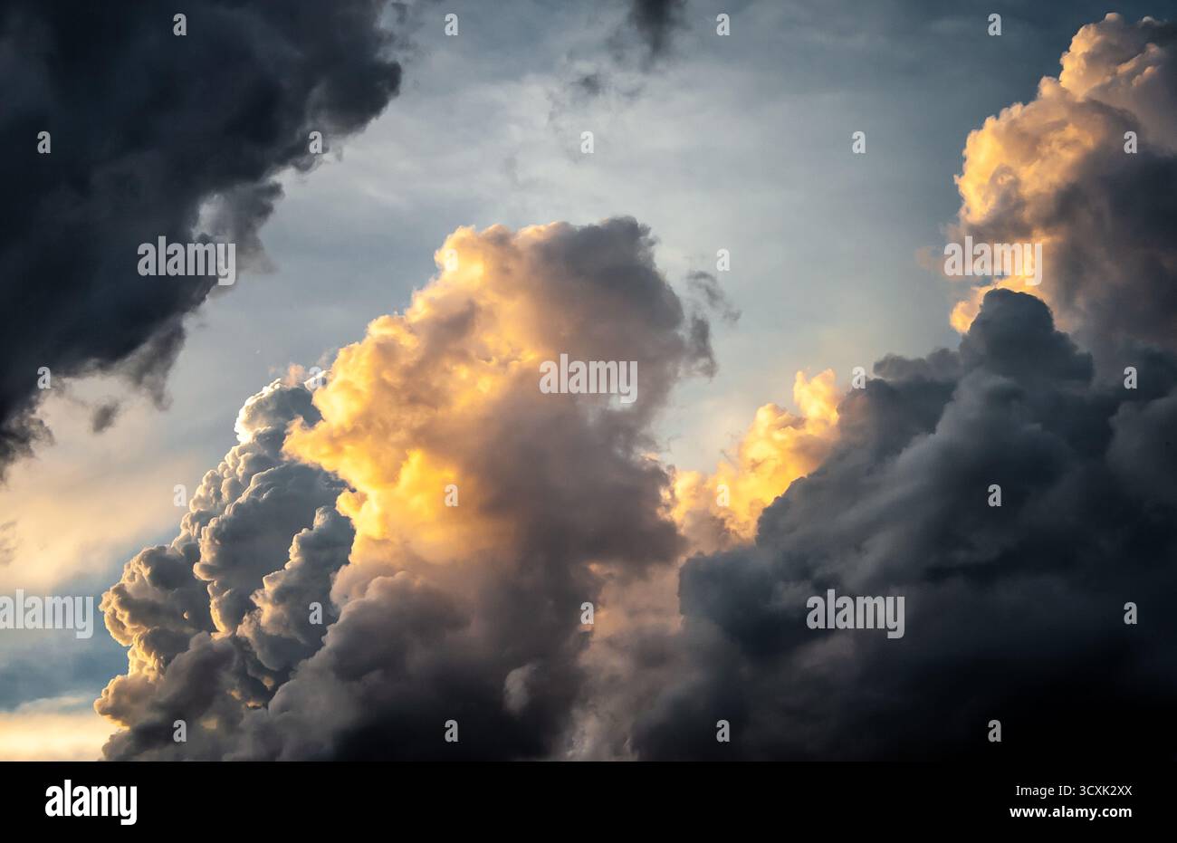 Dramatic cloudscape featuring large, billowing cumulus clouds illuminated by the setting sun. The clouds display varying shades of gray and golden hue Stock Photo