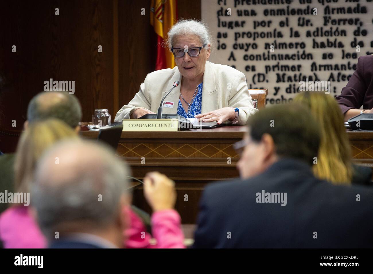 Carmen Pano Koldo case Potential Legal Implications