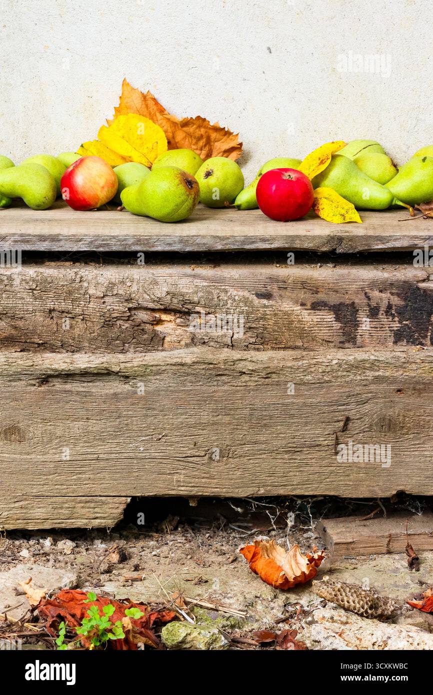 rural harvest in autumn. fruits on wooden background. fresh pears and ripe apples with yellow leaves laying on the board. rustic organic still life co Stock Photo
