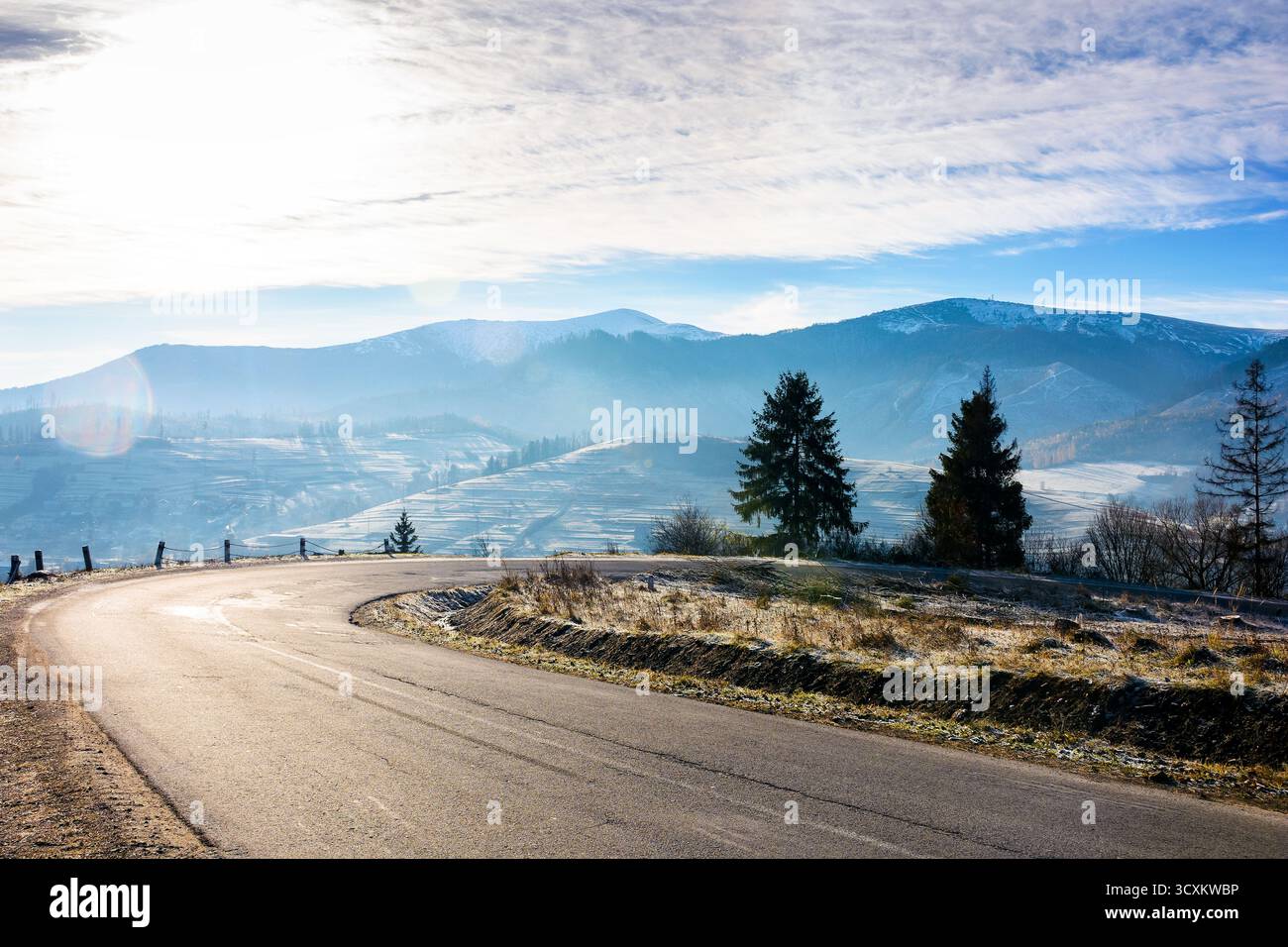 country road in carpathian mountains. beautiful landscape of ukraine in late autumn. fir trees on the roadside in morning light. scenic view of blue s Stock Photo