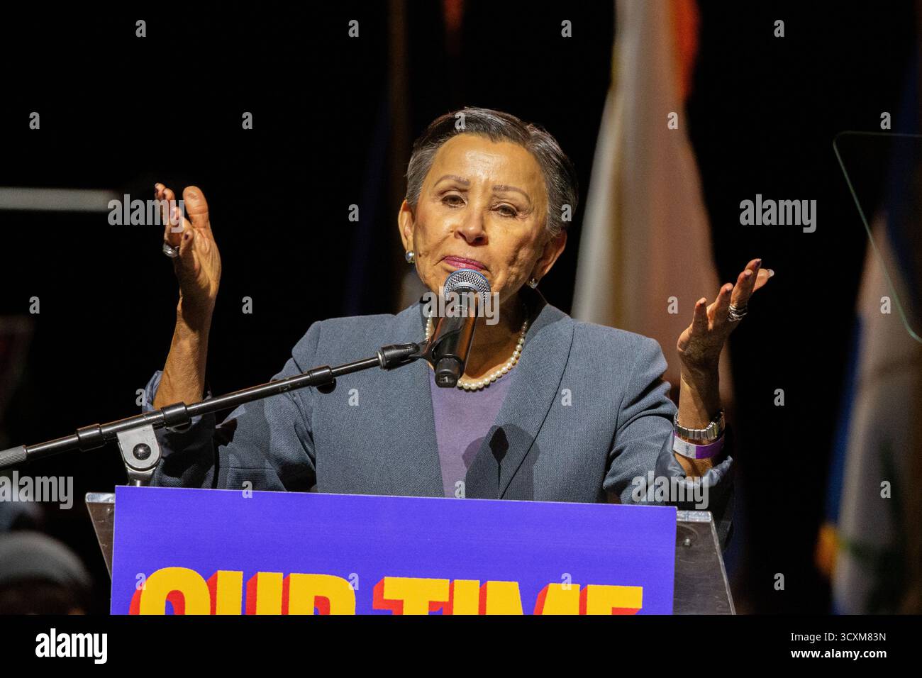 Rep. Nydia Rep. Nydia Velázquez, D-N.Y. speaks at a campaign rally for New York ...