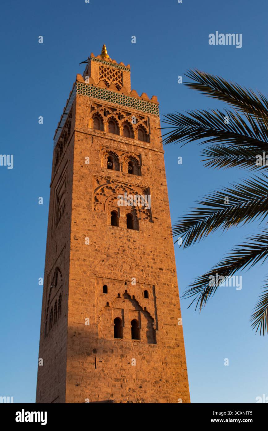 Marrakech, Morocco: palm tree with The Kutubiyya Mosque (Koutoubia) founded  in 1147 in the southwest medina quarter, near the Jemaa el-Fnaa square  Stock Photo - Alamy, image size:866x1390