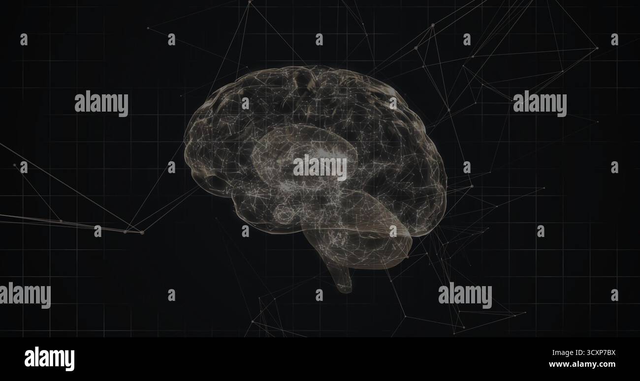 Floating 3D wireframe brain pulsing in virtual space, with grid overlay showing network nodes Stock Photo