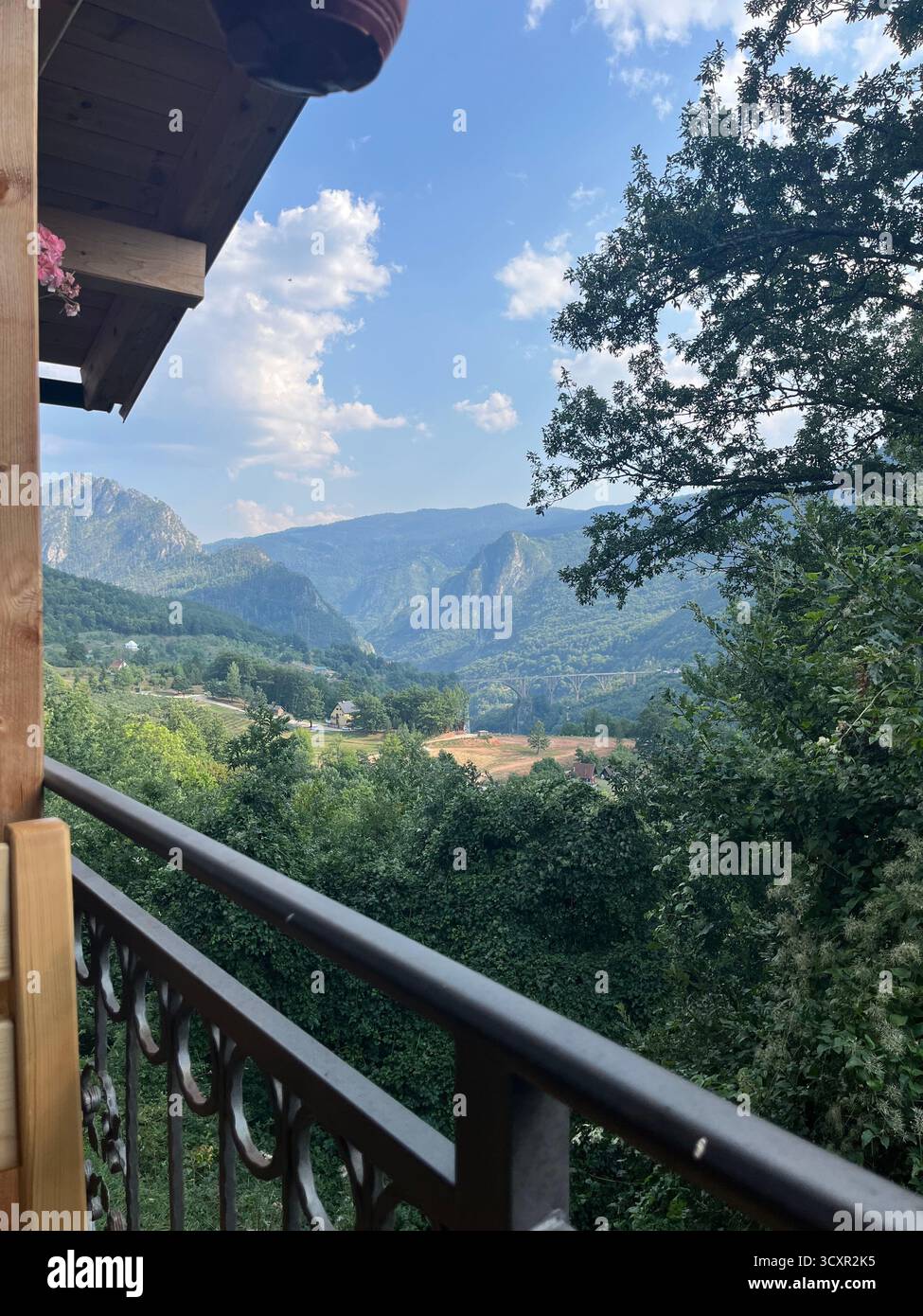 Mountain valley view from a wooden balcony surrounded by trees under a bright summer sky. - Smartphone Captured Stock Image