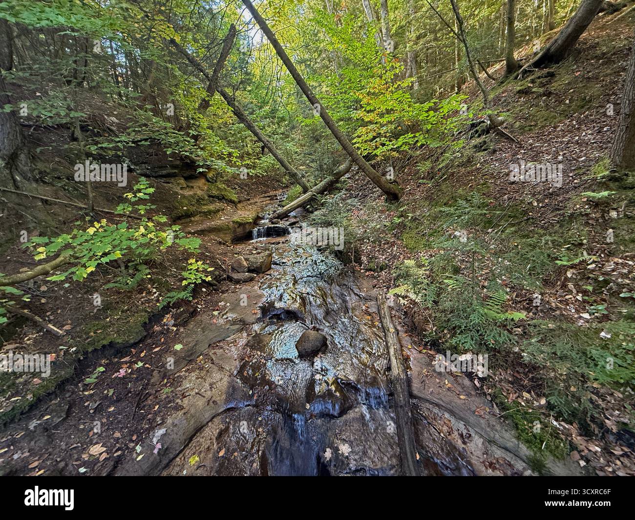 Wagner Creek streaming through a forest, in the fall, in Munising, Michigan, USA - Smartphone Captured Stock Image