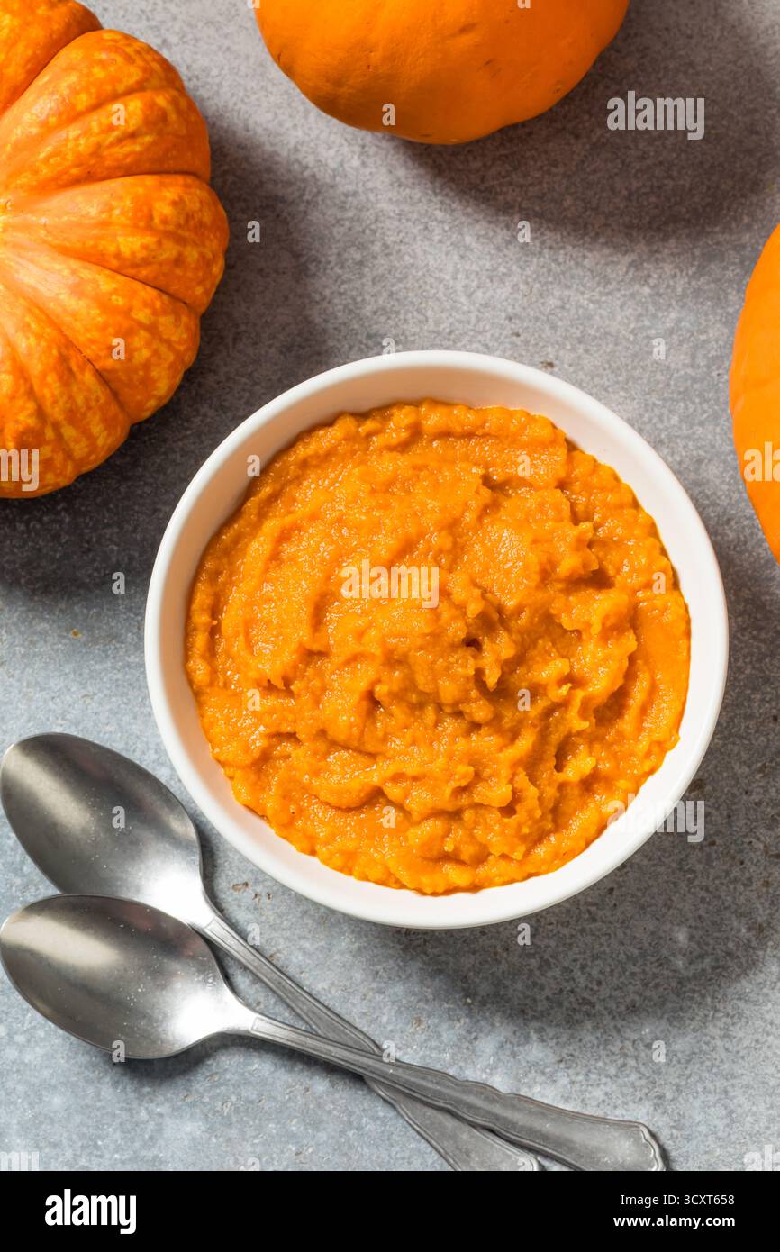 Raw Organic Cooked Pumpkin Puree in a Bowl Stock Photo