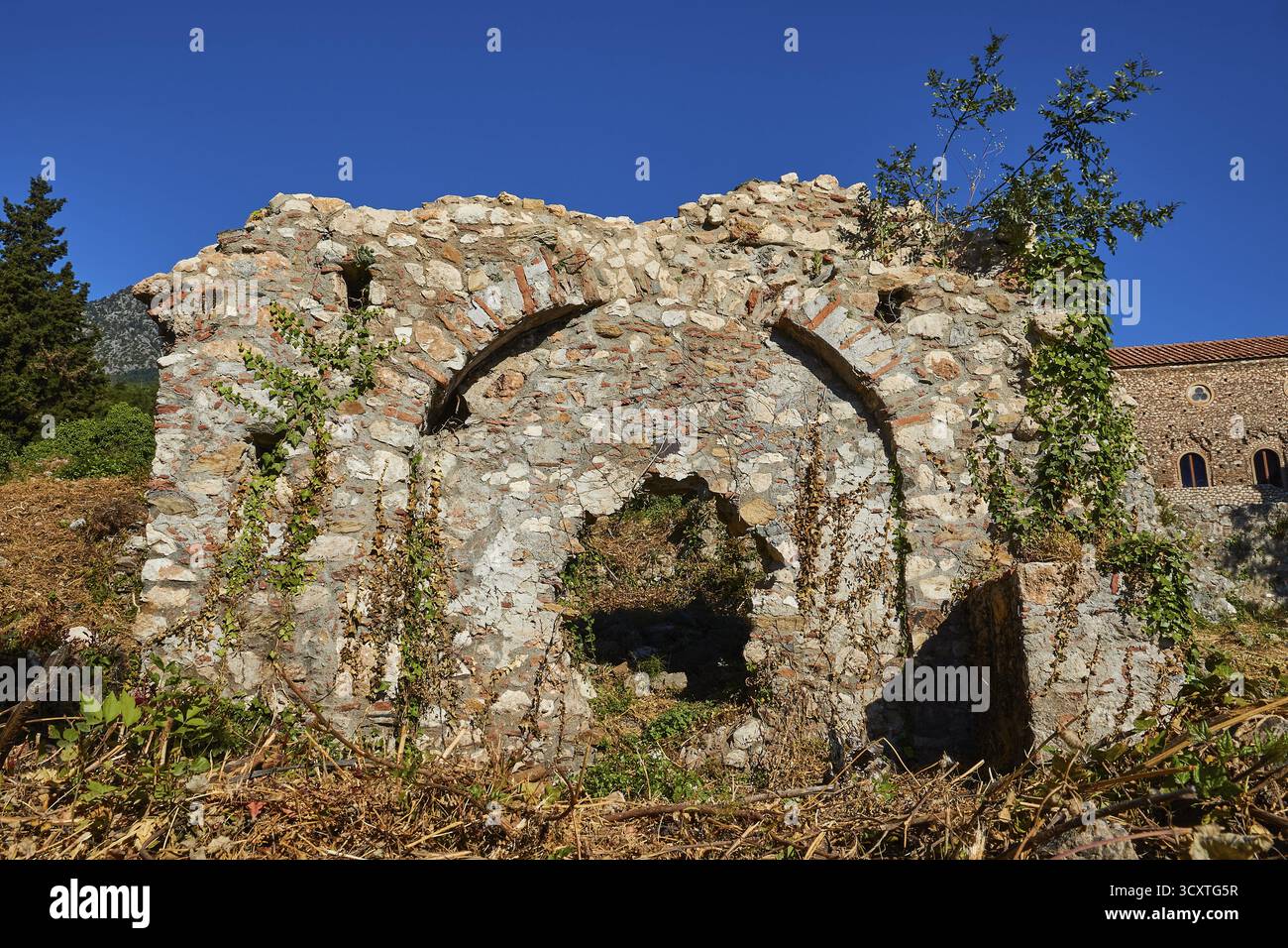 Ancient stone ruins with architectural arches, overgrown with plants ...