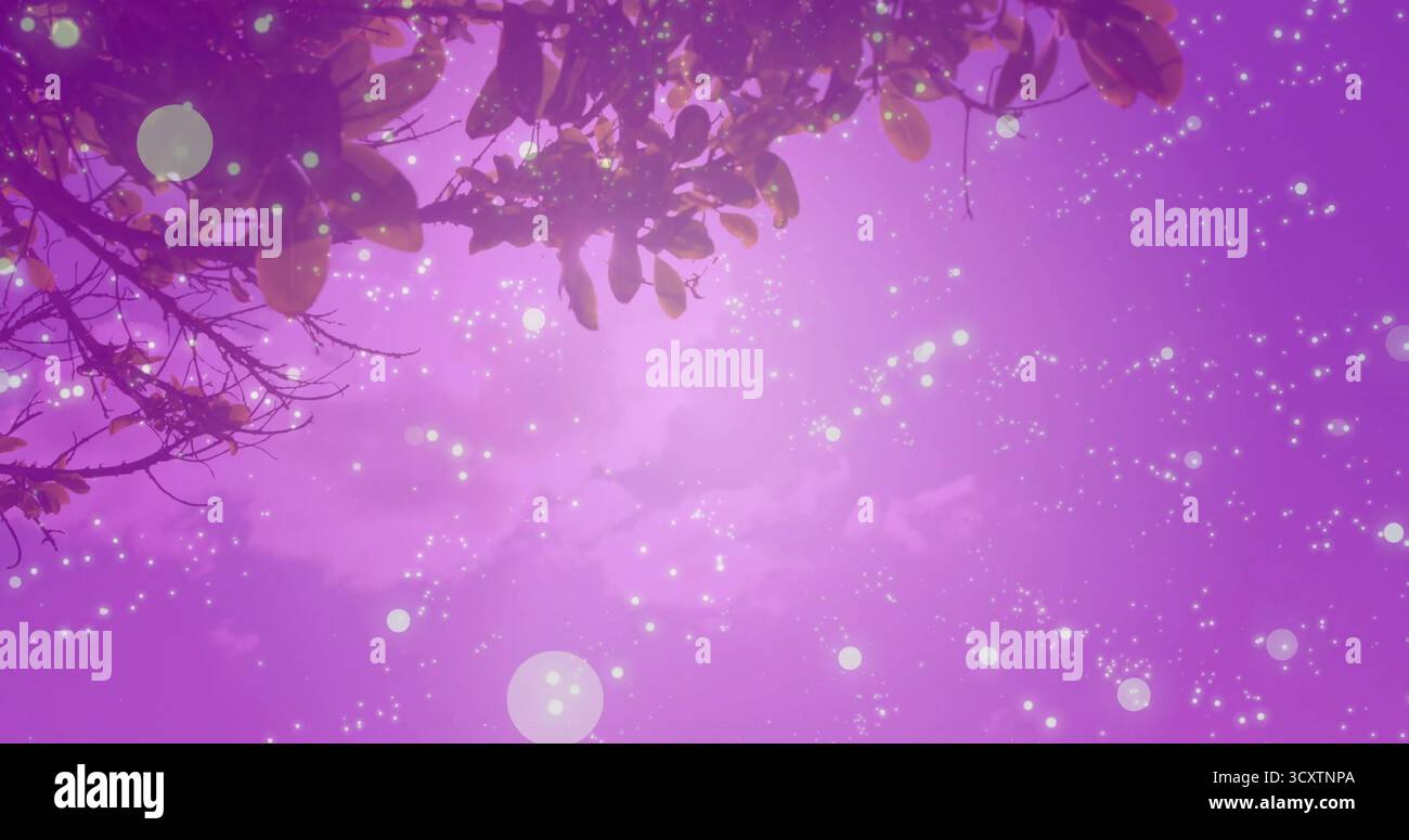Soft glowing orbs on purple hi-res stock photography and images - Alamy