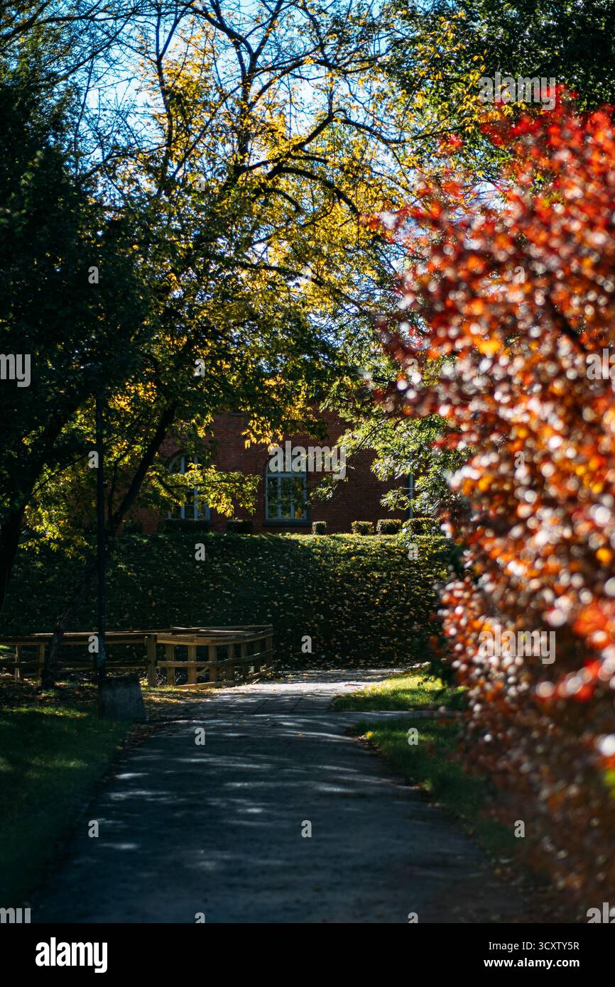 A winding park path leads toward a historic red brick building through shaded autumn foliage. Urban quietude, historic architecture, nature in cities Stock Photo