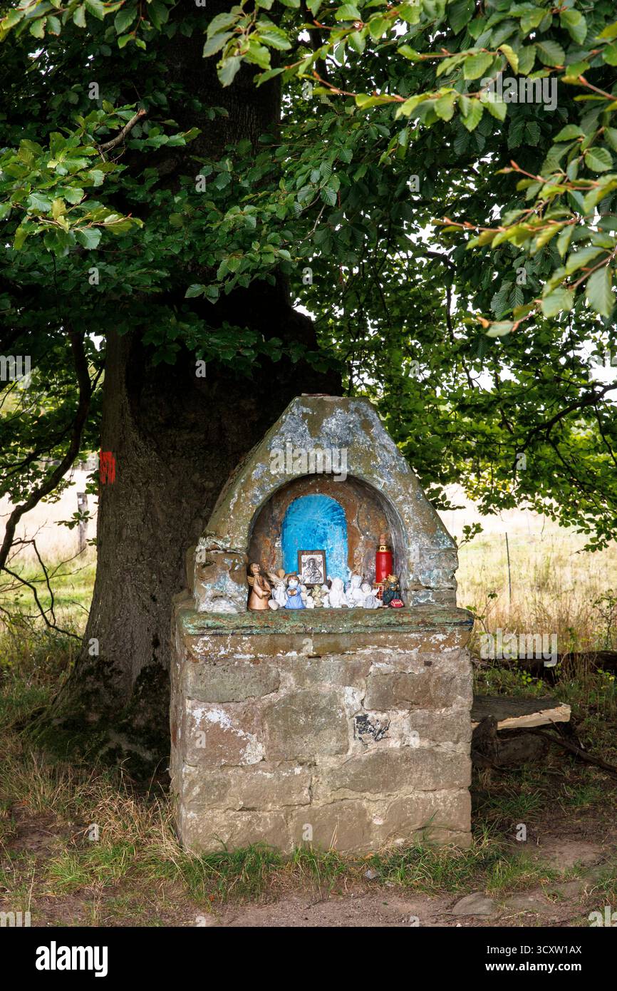 small altar under old trees in the Wahner Heath near Troisdorf, North Rhine-Westphalia, Germany. Altaerchen unter alten Baeumen in der Wahner Heide be Stock Photo