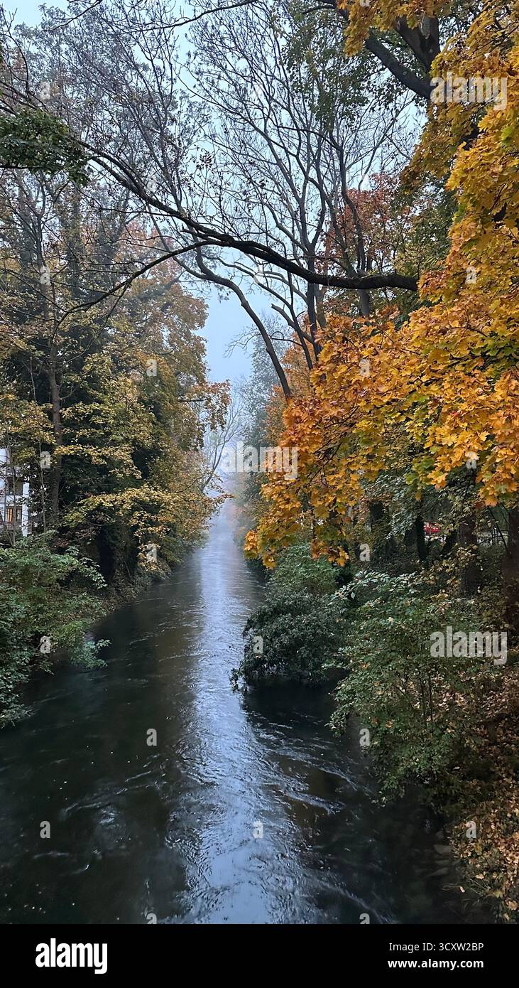 Misty autumn forest with colorful trees railways and river in Germany. - Smartphone Captured Stock Image