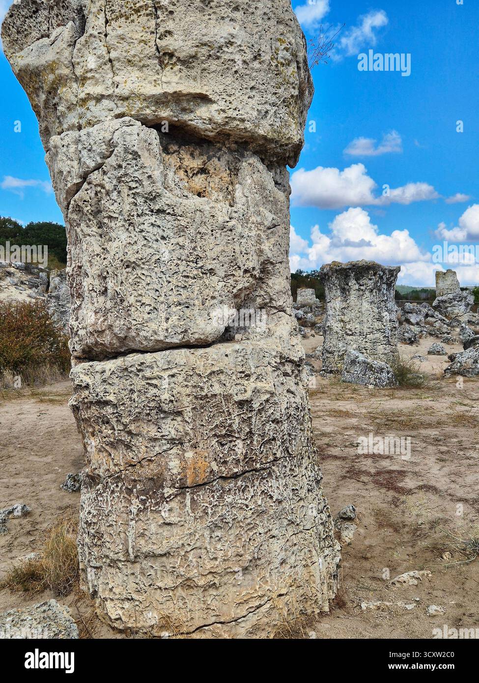 The Stone Forest (Pobiti Kamani) is a natural landmark located near Varna, Bulgaria. These majestic rock formations resemble a petrified forest. - Smartphone Captured Stock Image