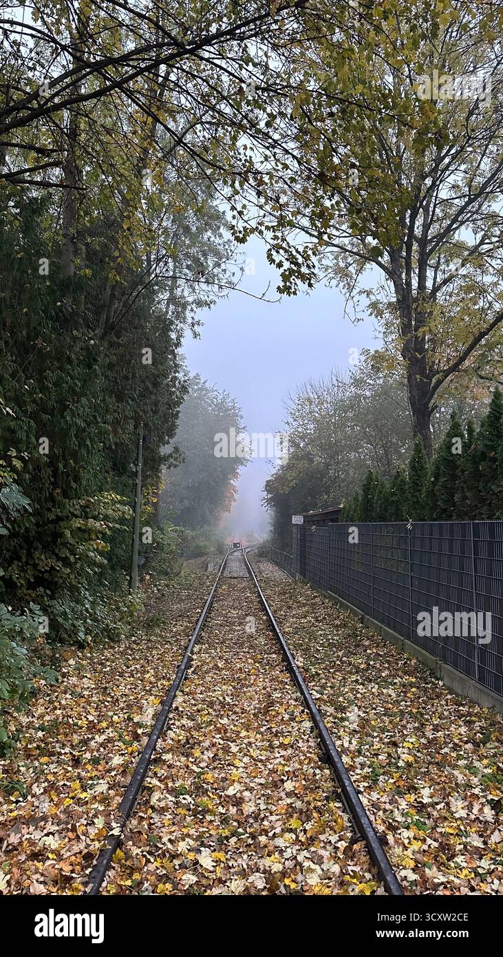Misty autumn forest with colorful trees railways and river in Germany. - Smartphone Captured Stock Image