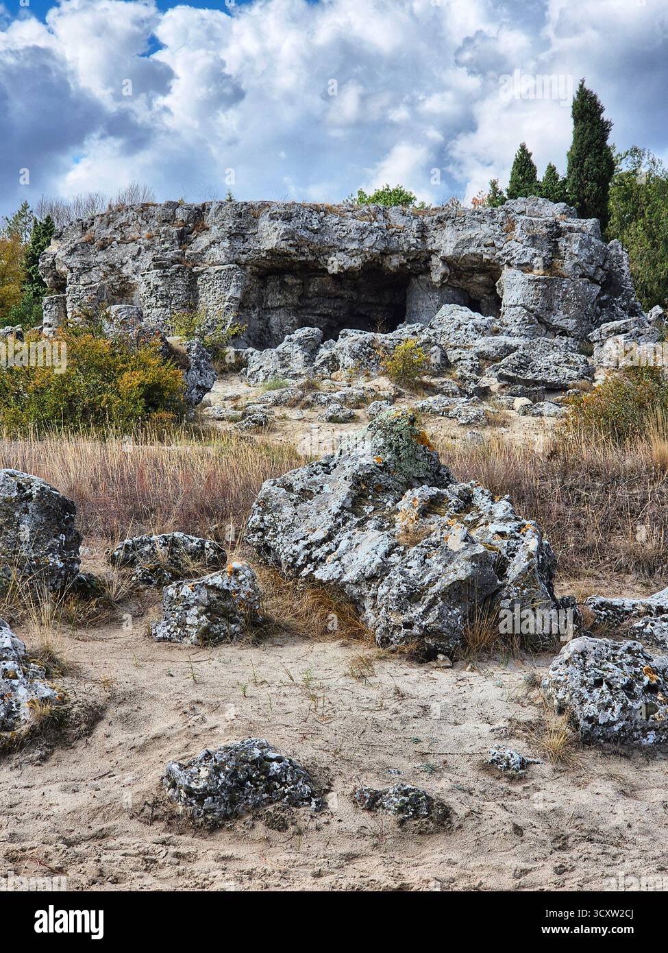 The Stone Forest (Pobiti Kamani) is a natural landmark located near Varna, Bulgaria. These majestic rock formations resemble a petrified forest. - Smartphone Captured Stock Image