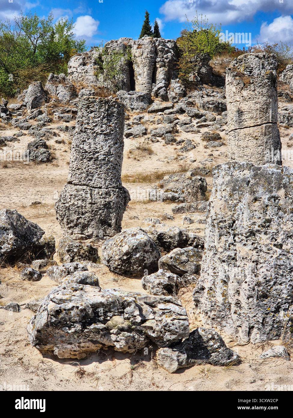 The Stone Forest (Pobiti Kamani) is a natural landmark located near Varna, Bulgaria. These majestic rock formations resemble a petrified forest. - Smartphone Captured Stock Image