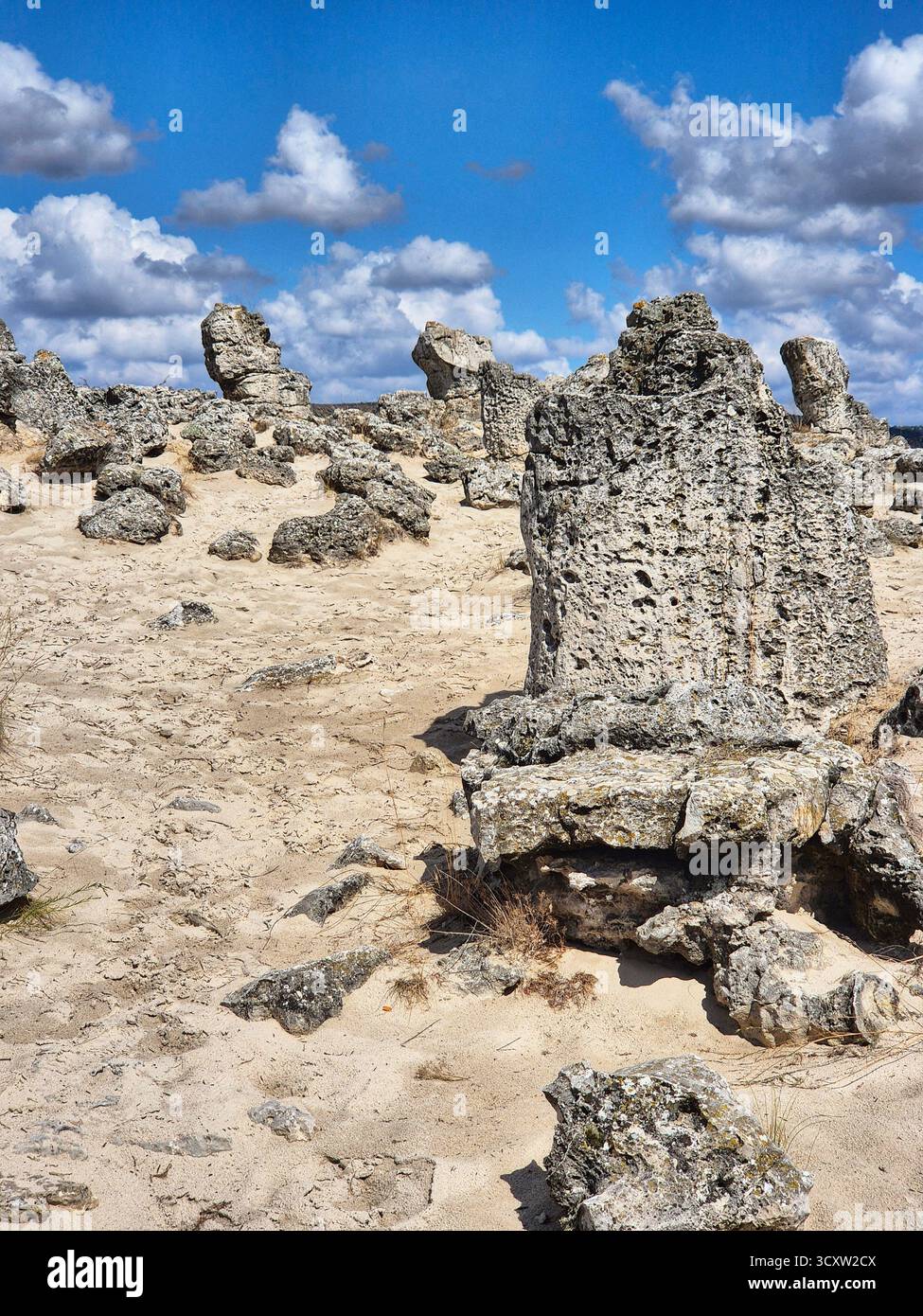 The Stone Forest (Pobiti Kamani) is a natural landmark located near Varna, Bulgaria. These majestic rock formations resemble a petrified forest. - Smartphone Captured Stock Image