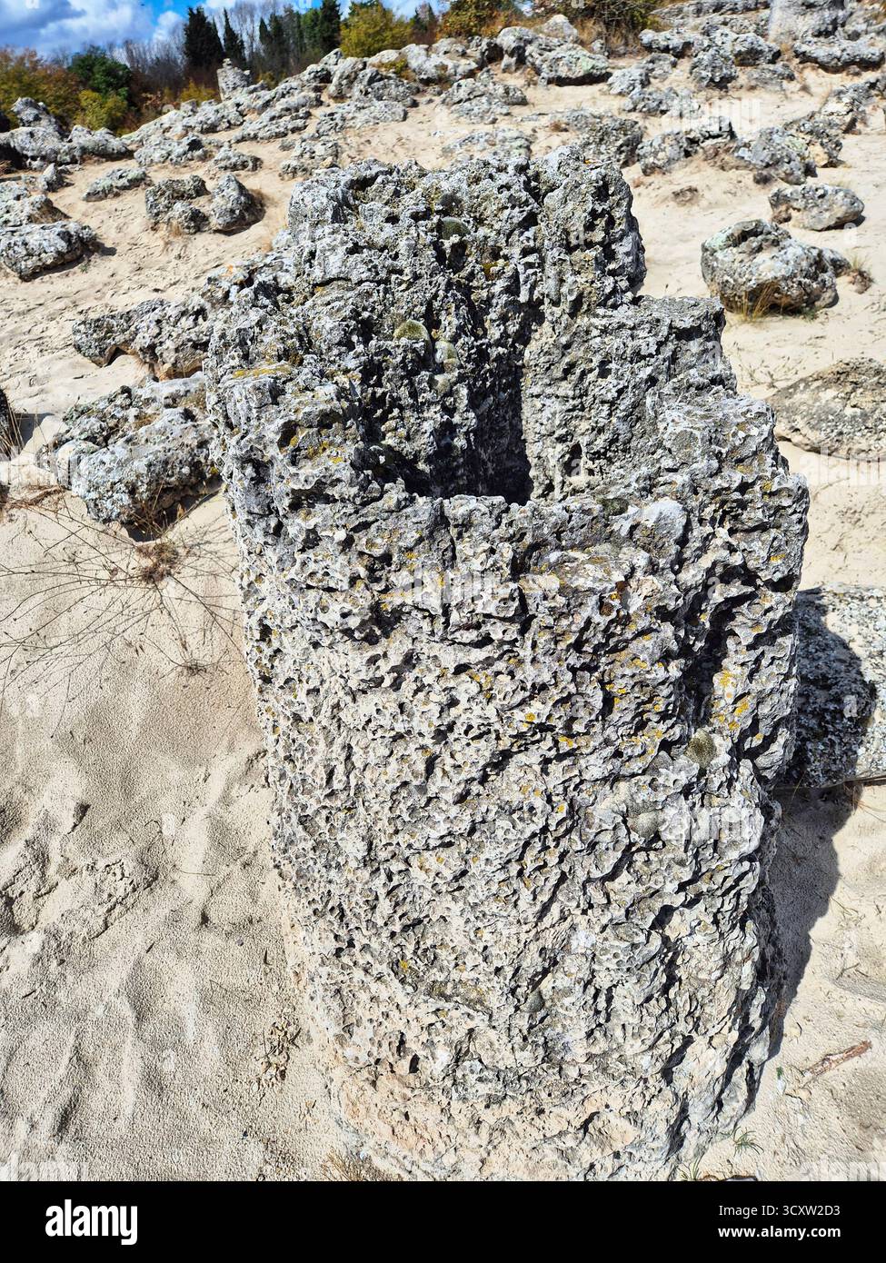 The Stone Forest (Pobiti Kamani) is a natural landmark located near Varna, Bulgaria. These majestic rock formations resemble a petrified forest. - Smartphone Captured Stock Image