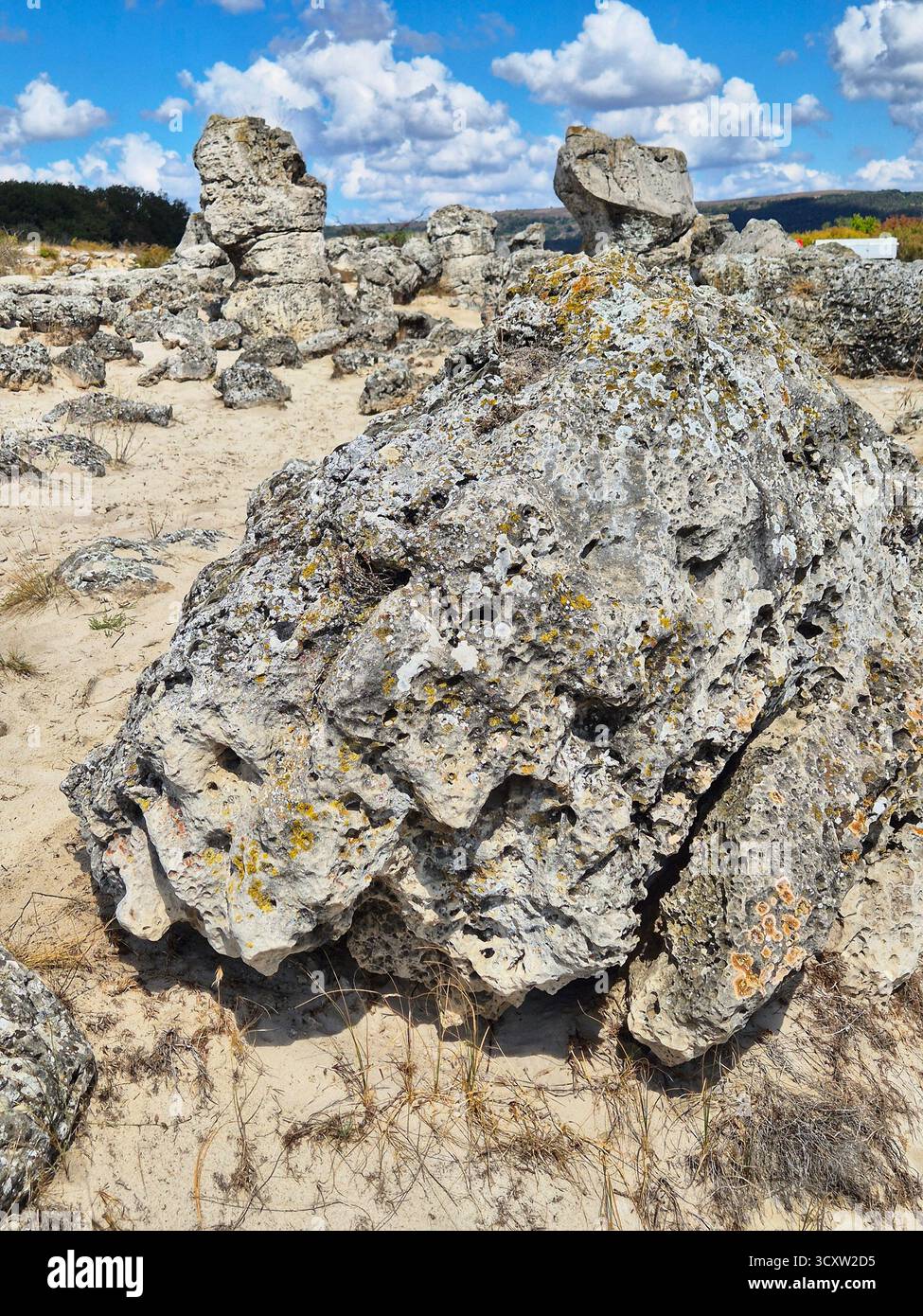 The Stone Forest (Pobiti Kamani) is a natural landmark located near Varna, Bulgaria. These majestic rock formations resemble a petrified forest. - Smartphone Captured Stock Image