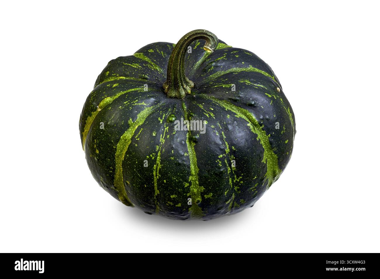 green striped pumpkin isolated on white background Stock Photo