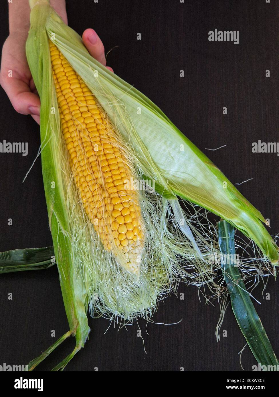 fresh corn on a wooden table - Smartphone Captured Stock Image