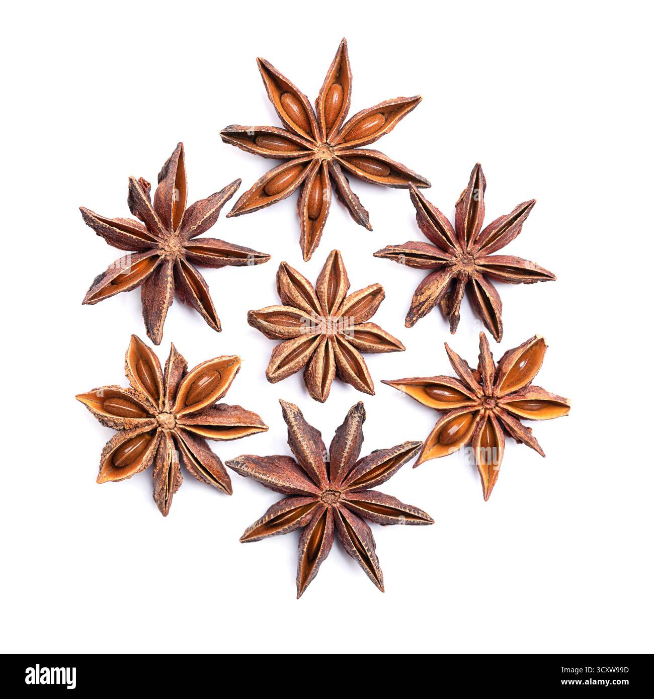 Star anise, circle on white background. Star shaped fruits and seeds of Illicium verum, also known as badian, and as star aniseed. Stock Photo