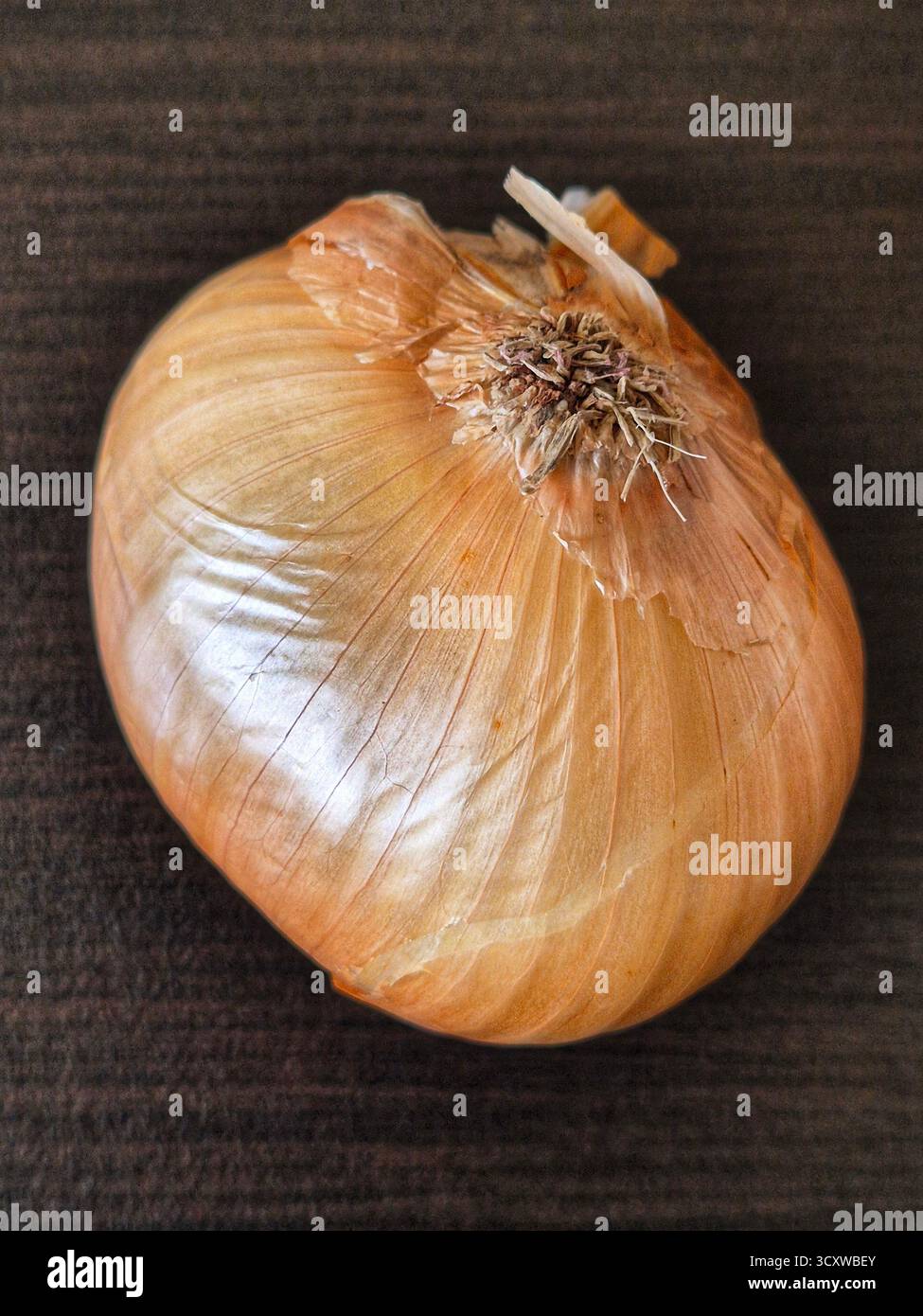 Onion vegetable spicy natural hi-res stock photography and images - Alamy