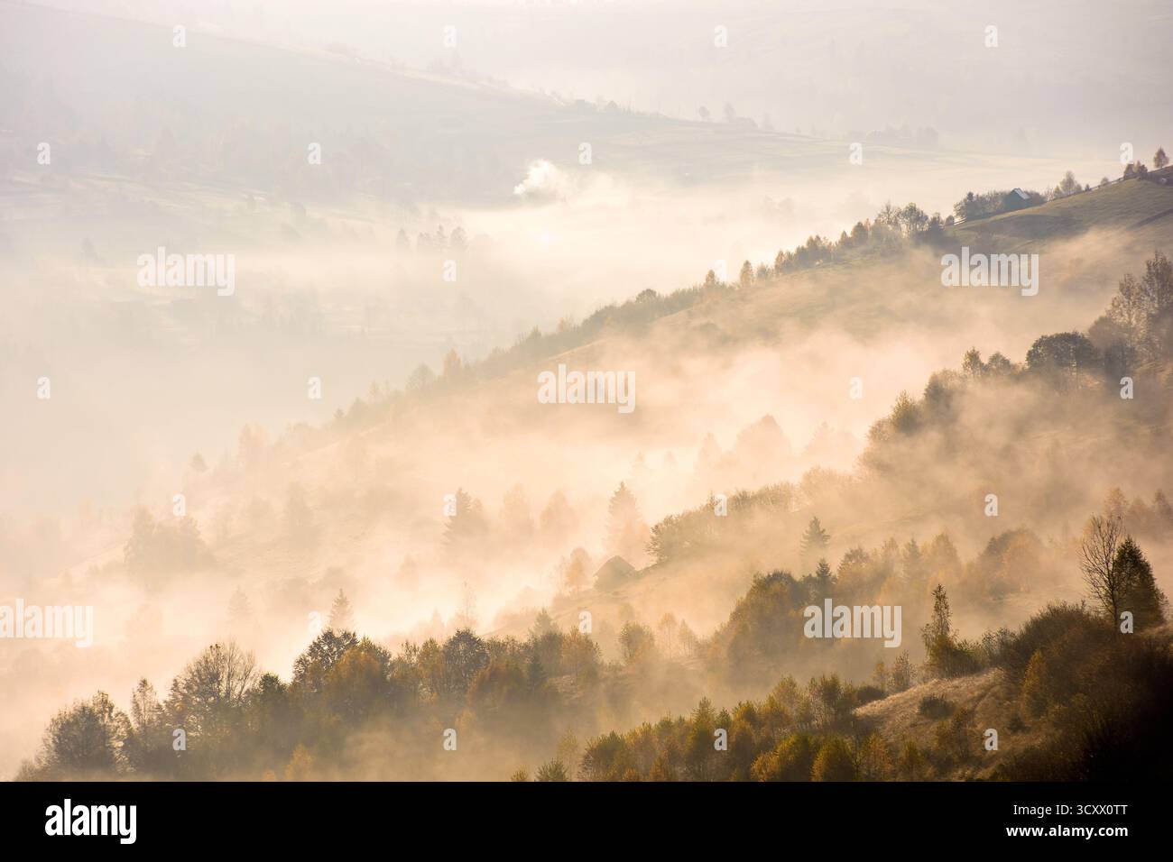 rising fog in valley. rural landscape in autumn. trees on the hill emerge from cold morning mist. village concealed in glowing haze. beautiful country Stock Photo