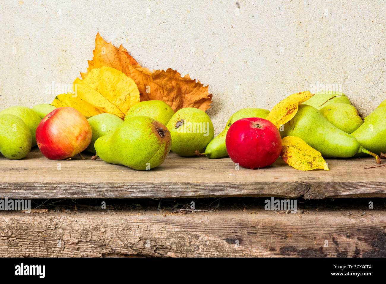 rural harvest in autumn. fruits on wooden background. fresh pears and ripe apples with yellow leaves laying on the board. rustic organic still life co Stock Photo