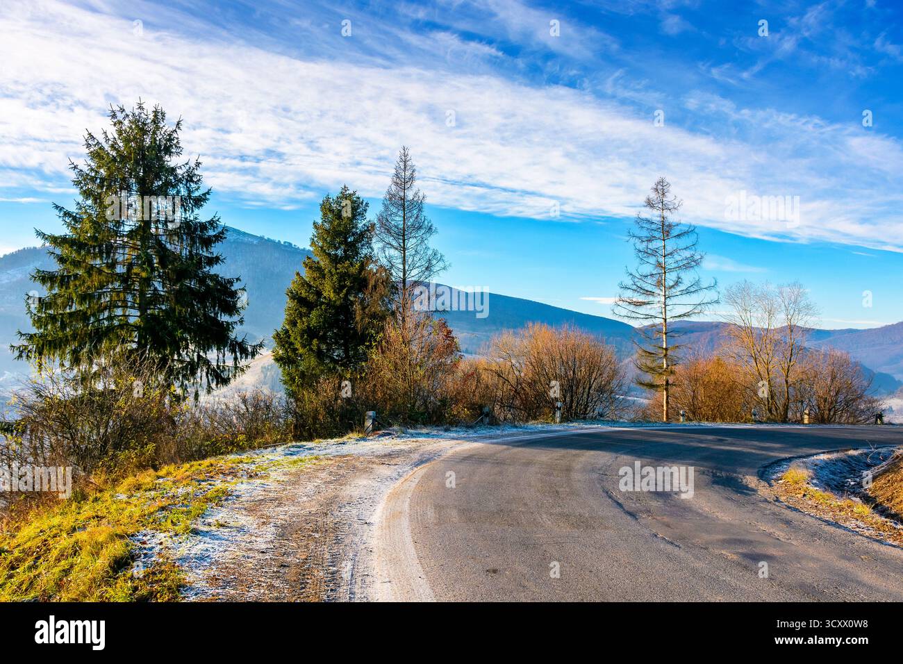 country road in carpathian mountains. beautiful landscape of ukraine in late autumn. fir trees on the roadside in morning light. scenic view of blue s Stock Photo