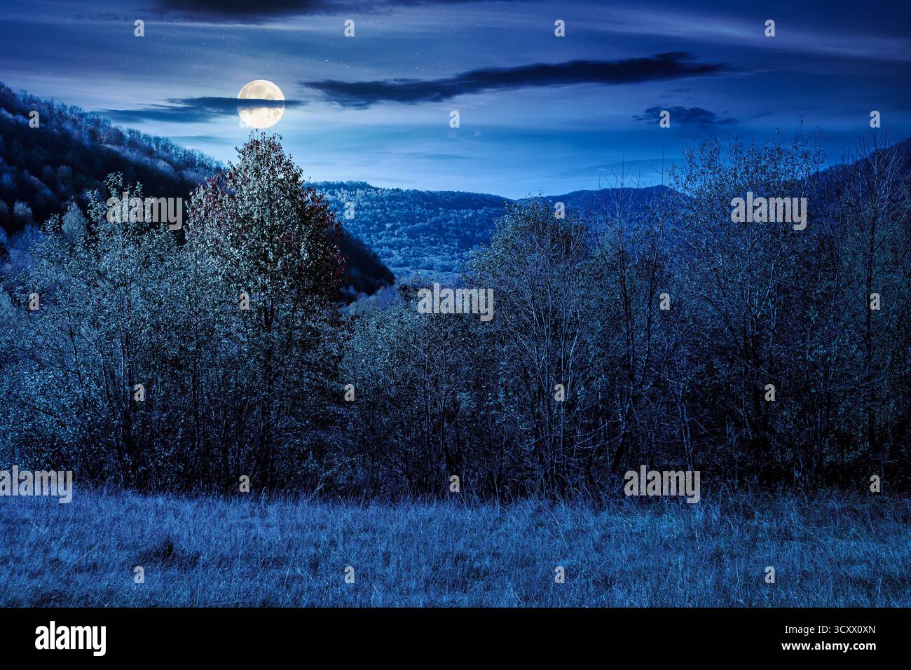 landscape with autumn forest at night. nature park with birch and beech trees in colorful foliage. clouds on sky above mountains. horizontal mystery b Stock Photo