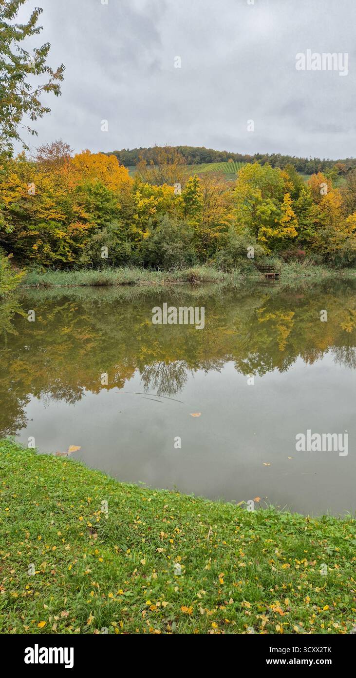 Autumn landscape with colorful trees reflecting in calm lake water, serene fall scenery and vibrant foliage - Smartphone Captured Stock Image