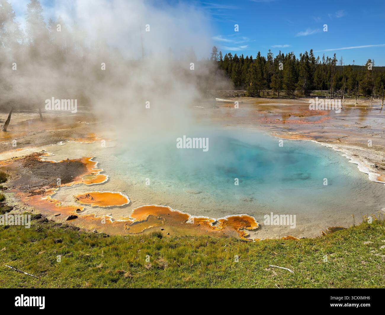 Steam rising from the colourful Celestine Pool hot spring on the Fountain Paintpots Trail in Yellowstone National Park. - Smartphone Captured Stock Image