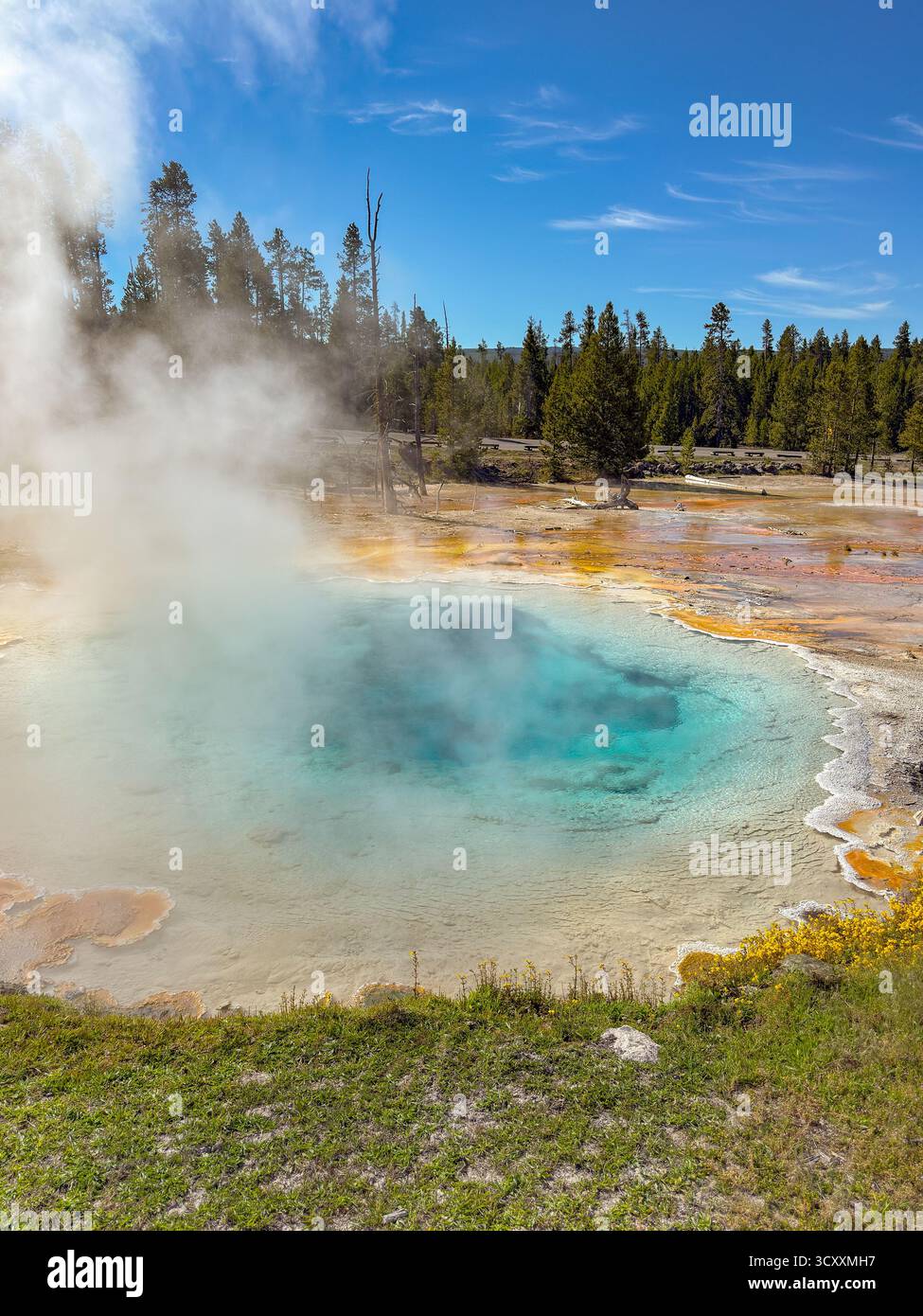 Steam rising from the colourful Celestine Pool hot spring on the Fountain Paintpots Trail in Yellowstone National Park. - Smartphone Captured Stock Image