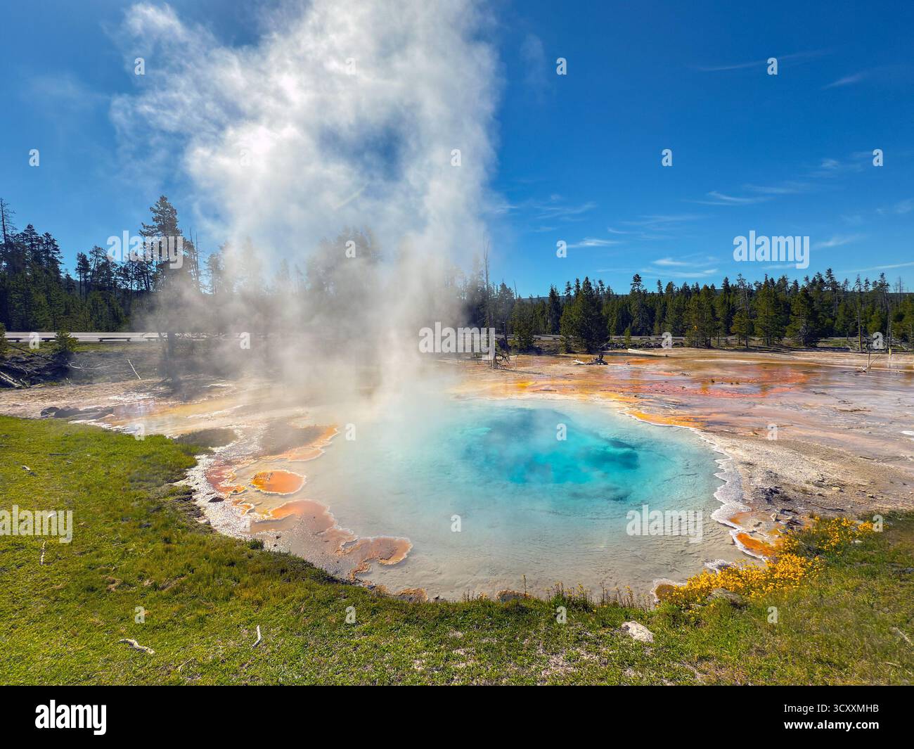 Steam rising from the colourful Celestine Pool hot spring on the Fountain Paintpots Trail in Yellowstone National Park. - Smartphone Captured Stock Image