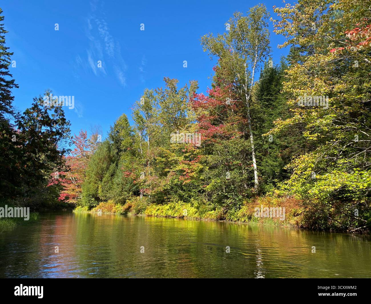 Kayaking down the Manistique River through a forest, lined with trees changing colors in the fall,  in Germfask, Michigan - Smartphone Captured Stock Image