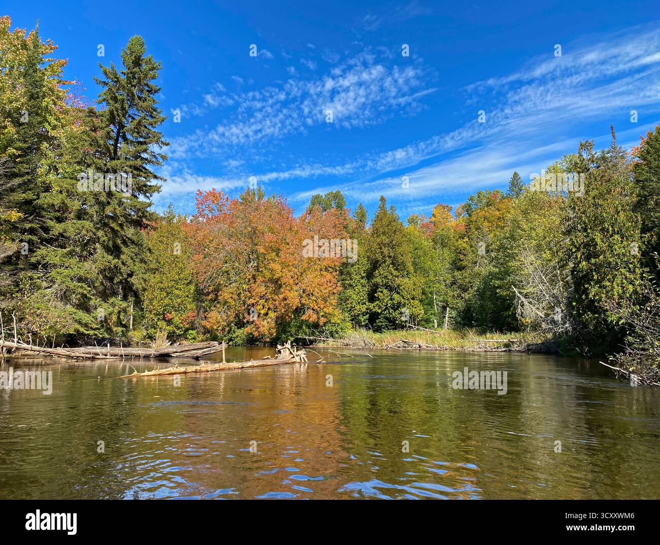Kayaking down the Manistique River through a forest, lined with trees changing colors in the fall,  in Germfask, Michigan - Smartphone Captured Stock Image