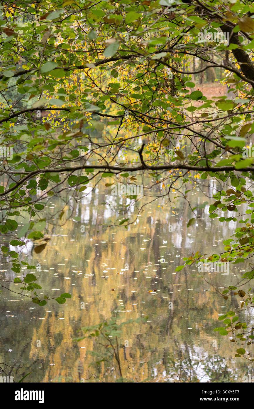 TOP 10 BEST Venues \u0026 Event Spaces in Baildon, West Yorkshire, United  Kingdom - Updated 2026 - Yelp, image size:866x1390