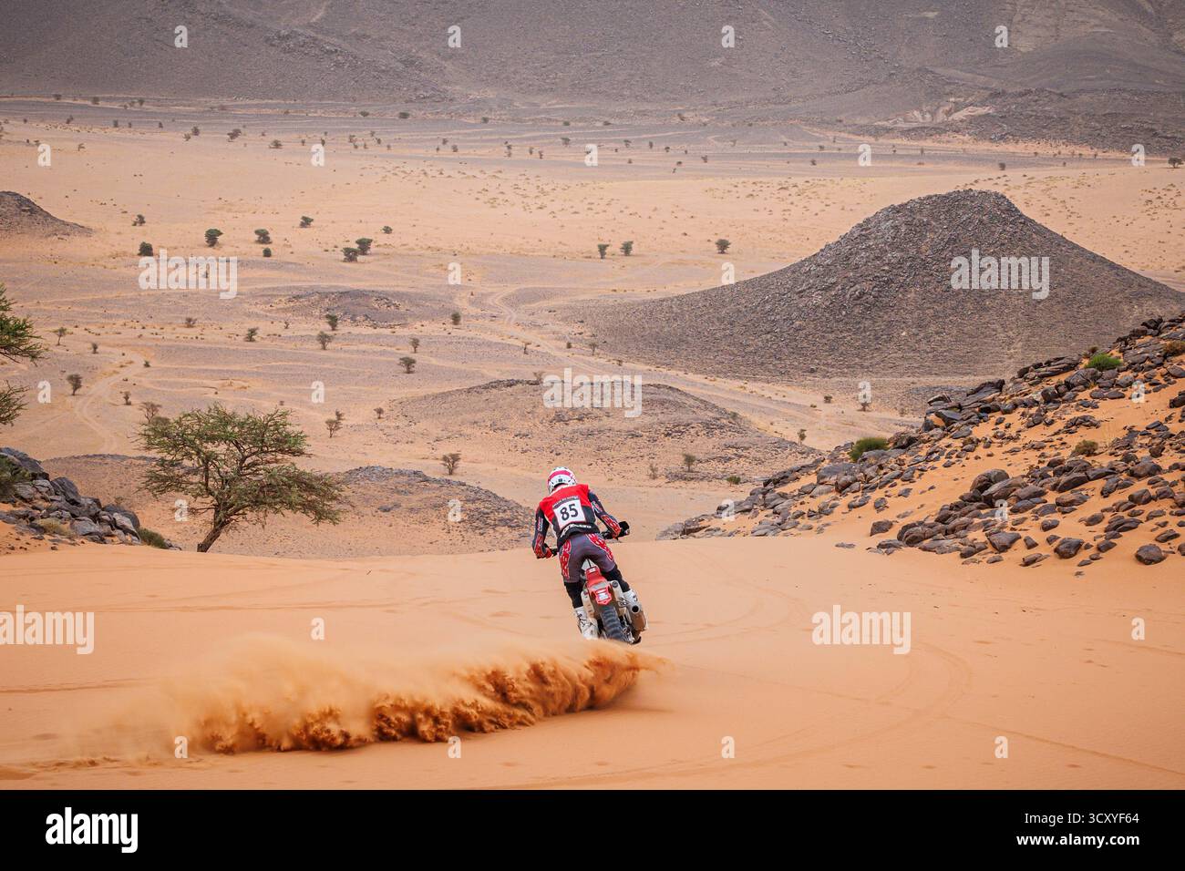 85 CAMPBELL Preston (USA), Honda HRC Junior Team, Honda CRF 450, FIM ...