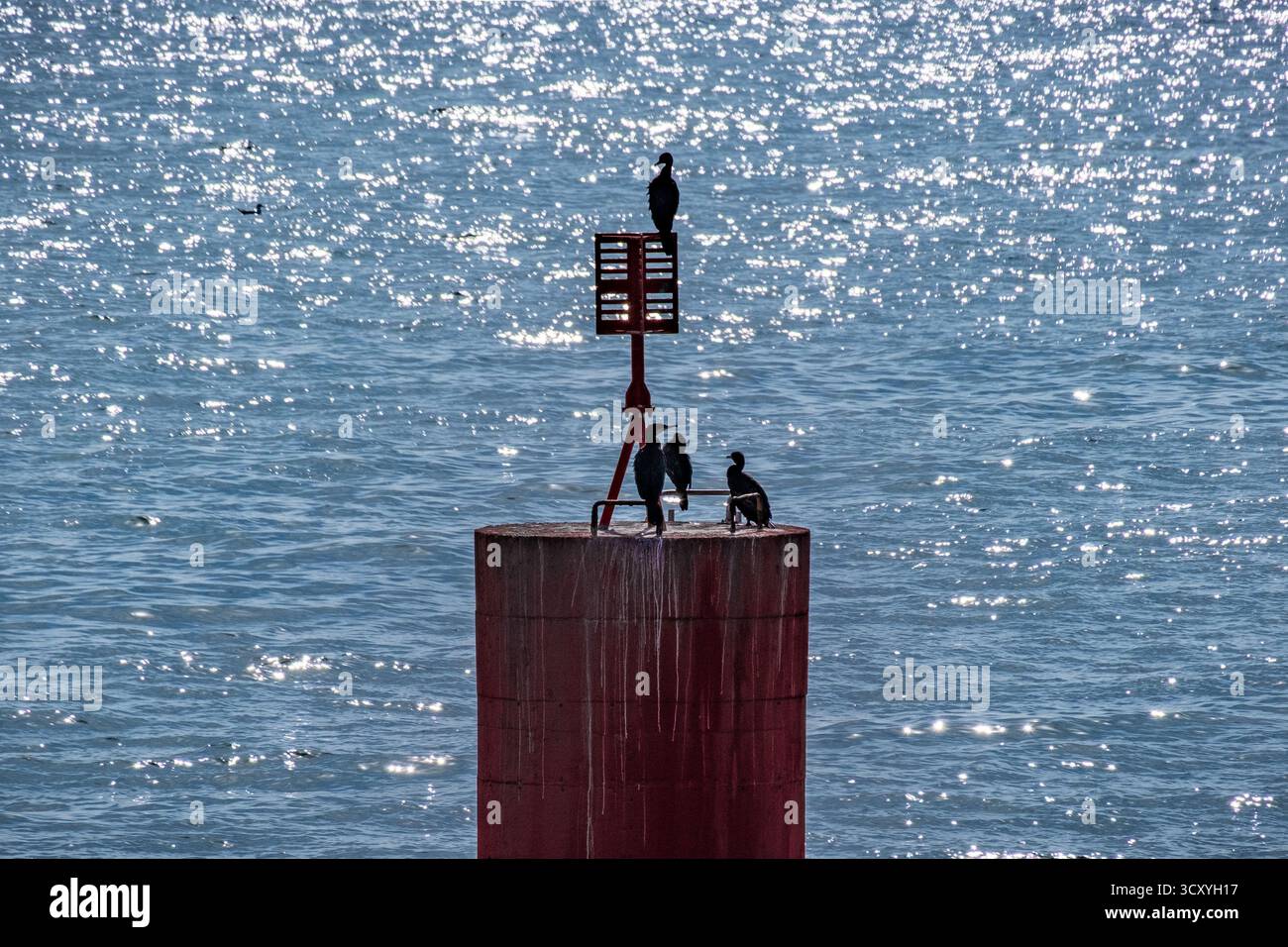Marine buoy over water hi res stock photography and images Alamy