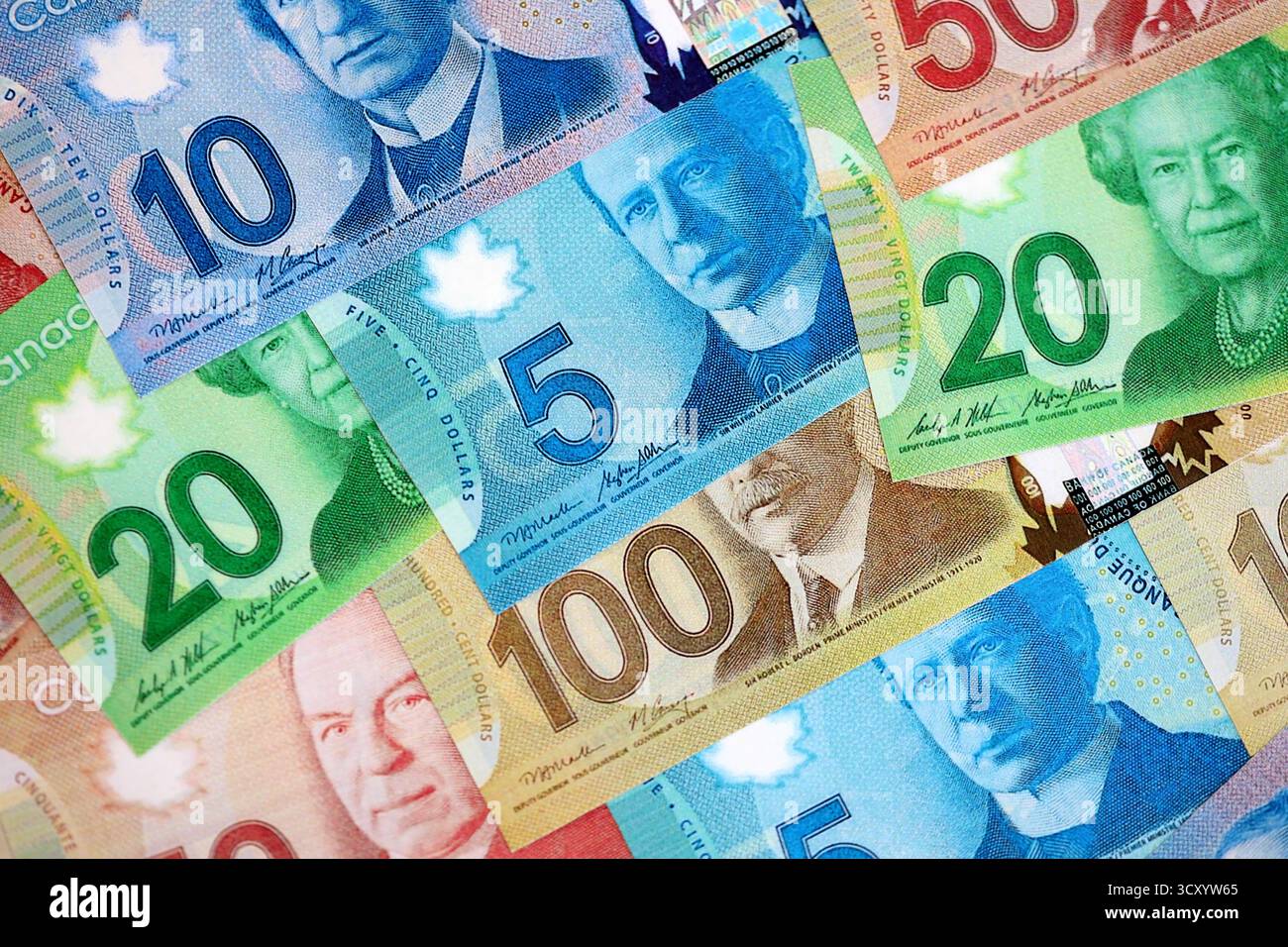 Money Tech Professional Polymer & Paper Multi-Currency Bill Cash
