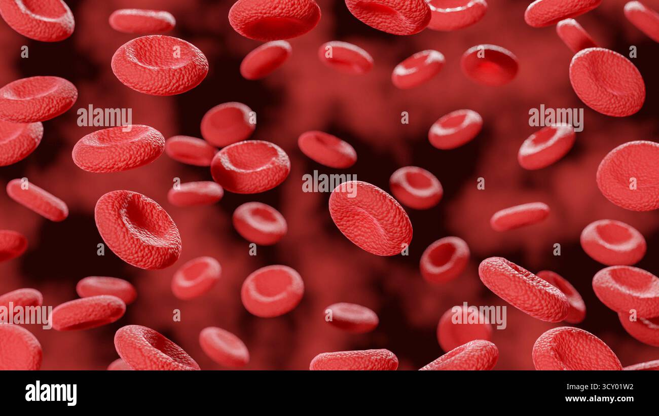 Red blood cells stream in vein. Abstract white blood cell in vena ...