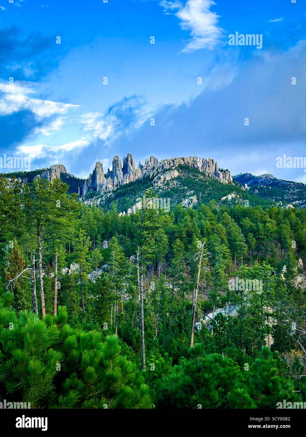 Morning light illuminates the rugged granite spires of Custer State Park in South Dakota, with a dense pine forest stretching across the foreground. T - Smartphone Captured Stock Image