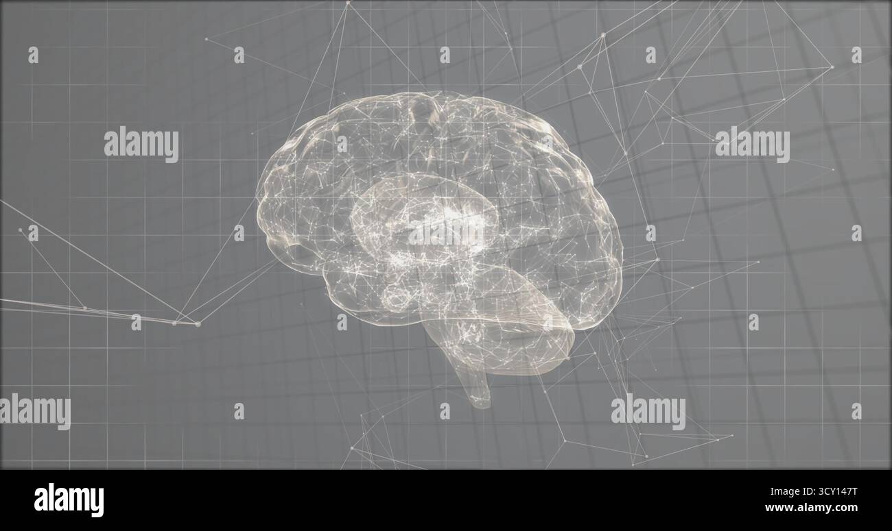 Floating translucent white wireframe brain model in grey 3D grid space, glowing network nodes Stock Photo